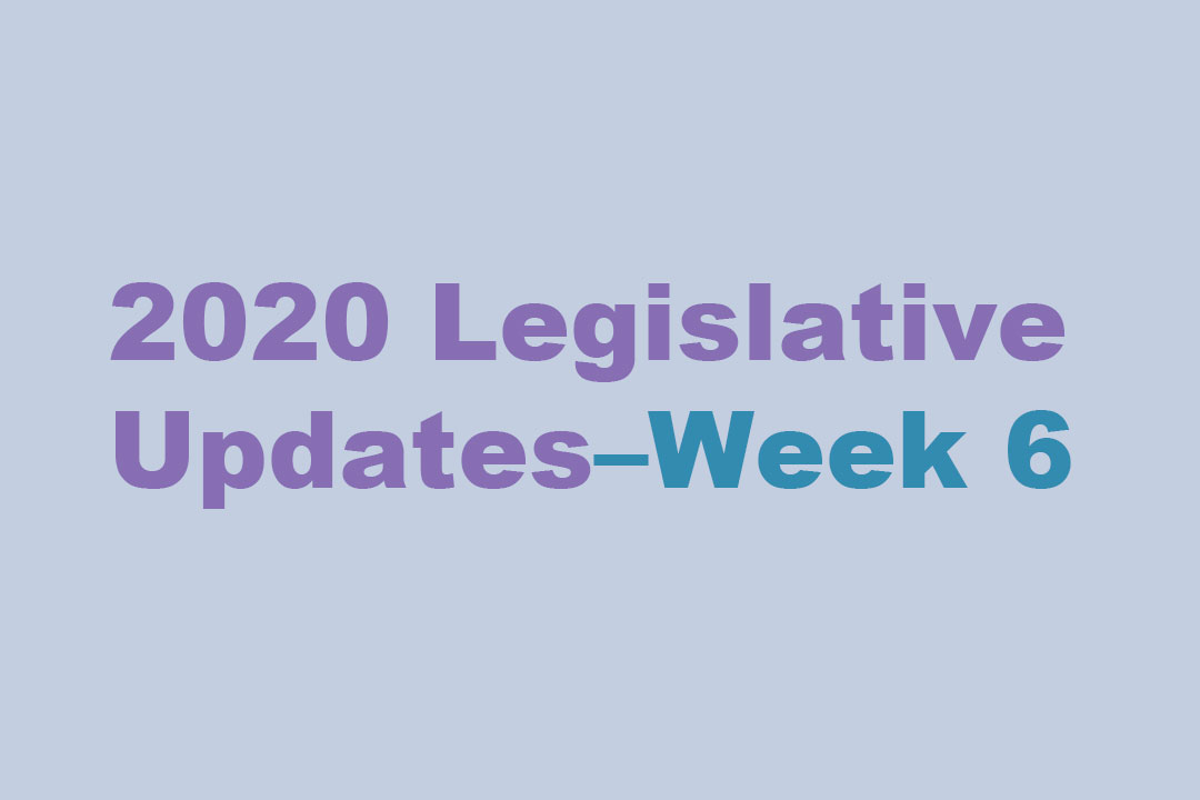 2020 Legislative Updates, Week 6