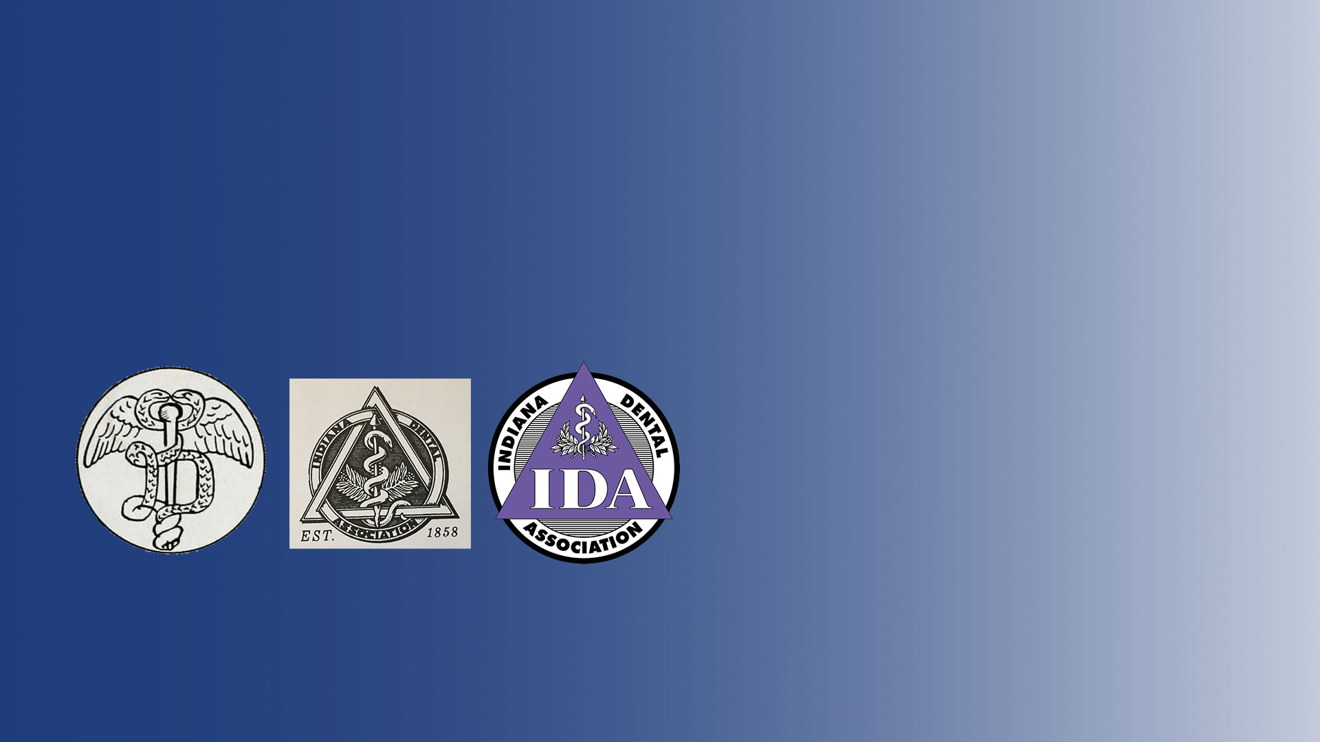 IDA Has a Fresh New Look