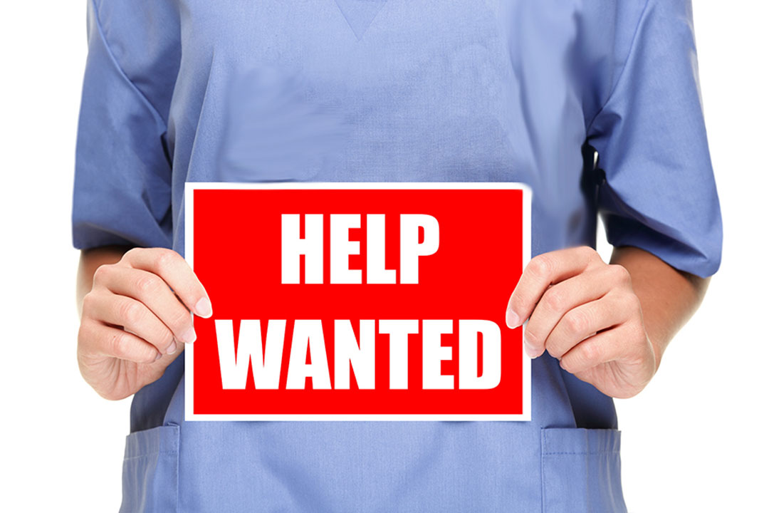 Blue & Co Workforce 2024 Survey Results